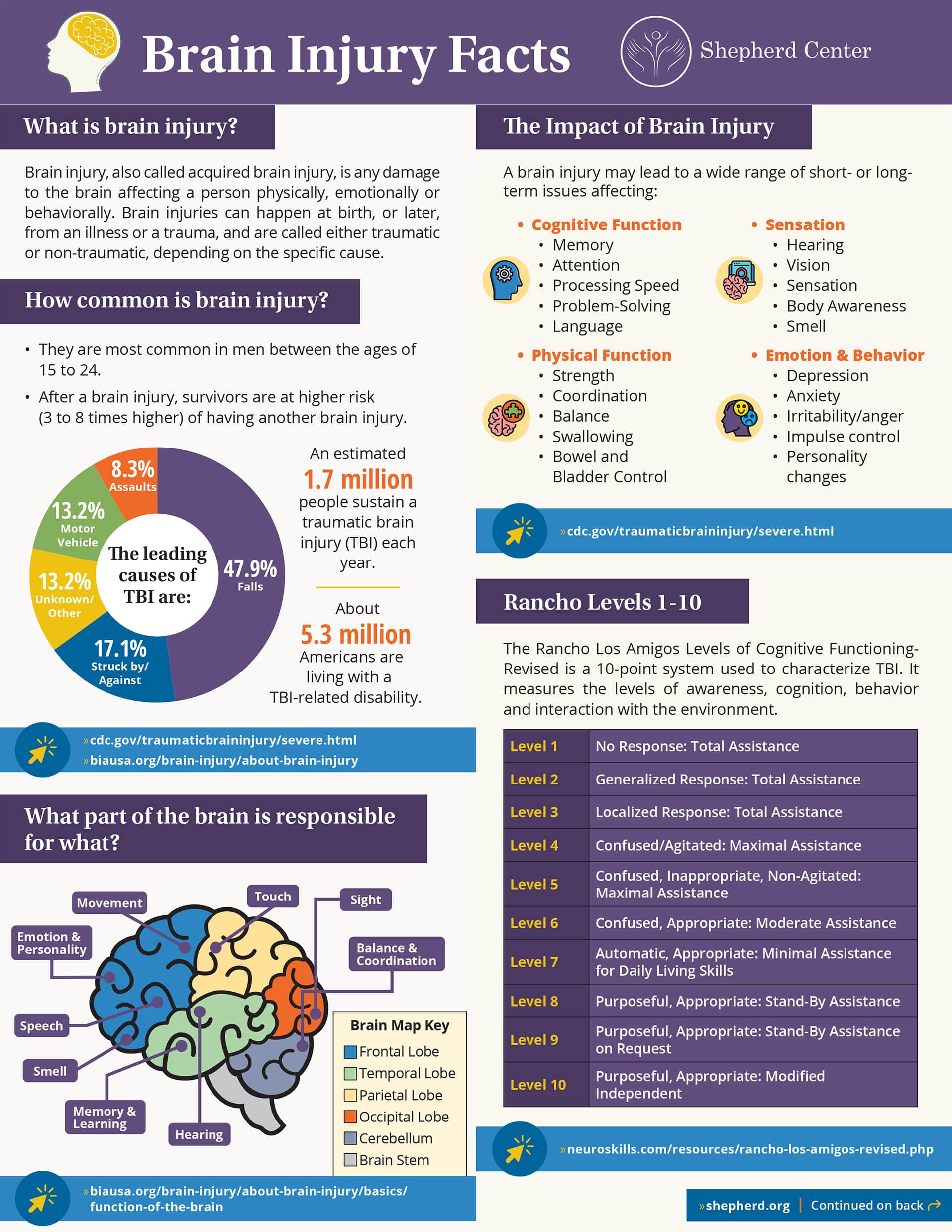 Brain Injury ABI statistics infographic