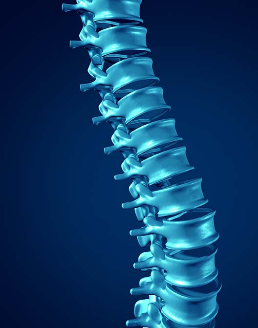 Spinal Cord Injury Information  Levels  Causes  Recovery