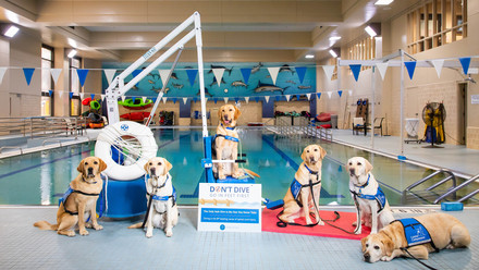 Facility dogs lying by the pool. 