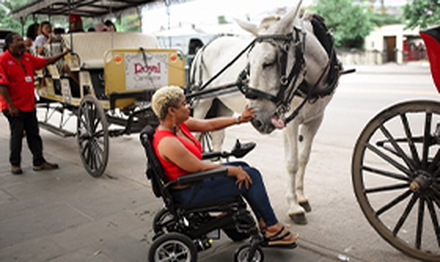  Seated in her custom wheelchair, Tiffany Vinson pets the top of a horse's nose as it bends down.