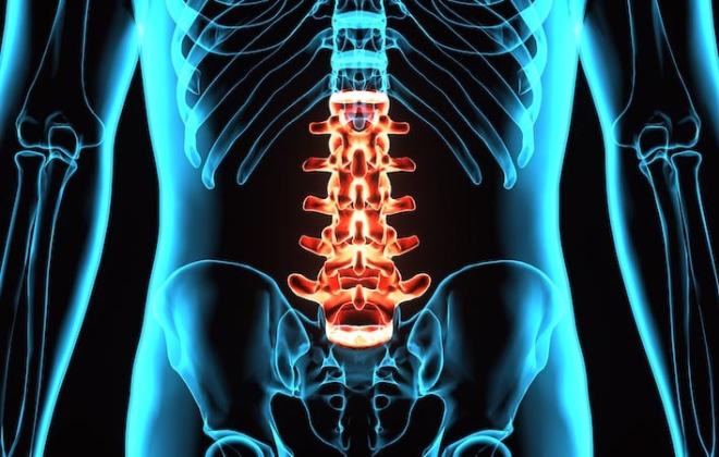 L-1 to L-5 vertebrae injuries are classified as lumbar spinal cord injuries.